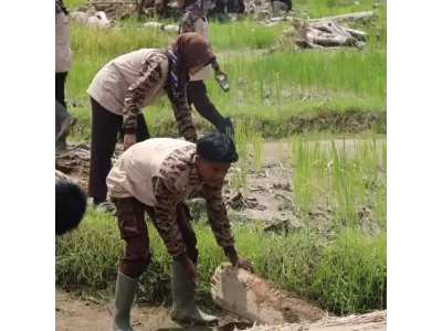 624584336_2060379288146484_5198334349177249618_n